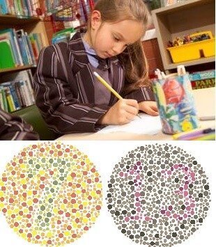school colur vision